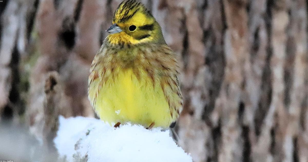 Arte-Criatividade-post-image-47