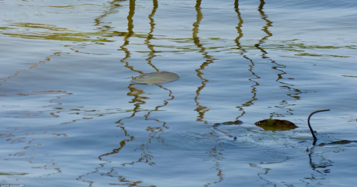 Arte-Criatividade-post-image-51