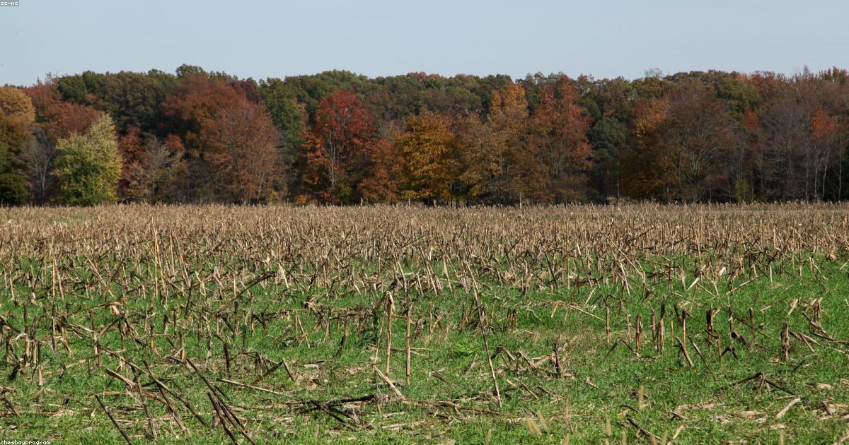 Arte-Criatividade-post-image-52