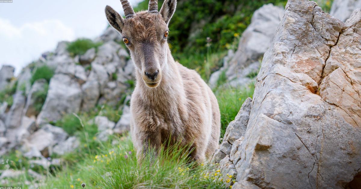 Arte-Criatividade-post-image-12