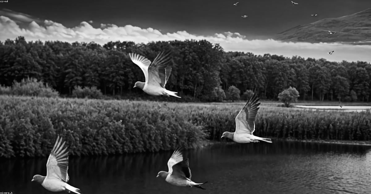 Arte-Criatividade-post-image-26