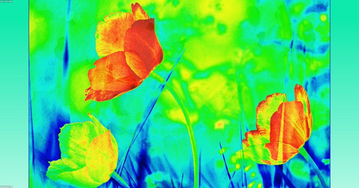 Arte-Criatividade-post-image-30