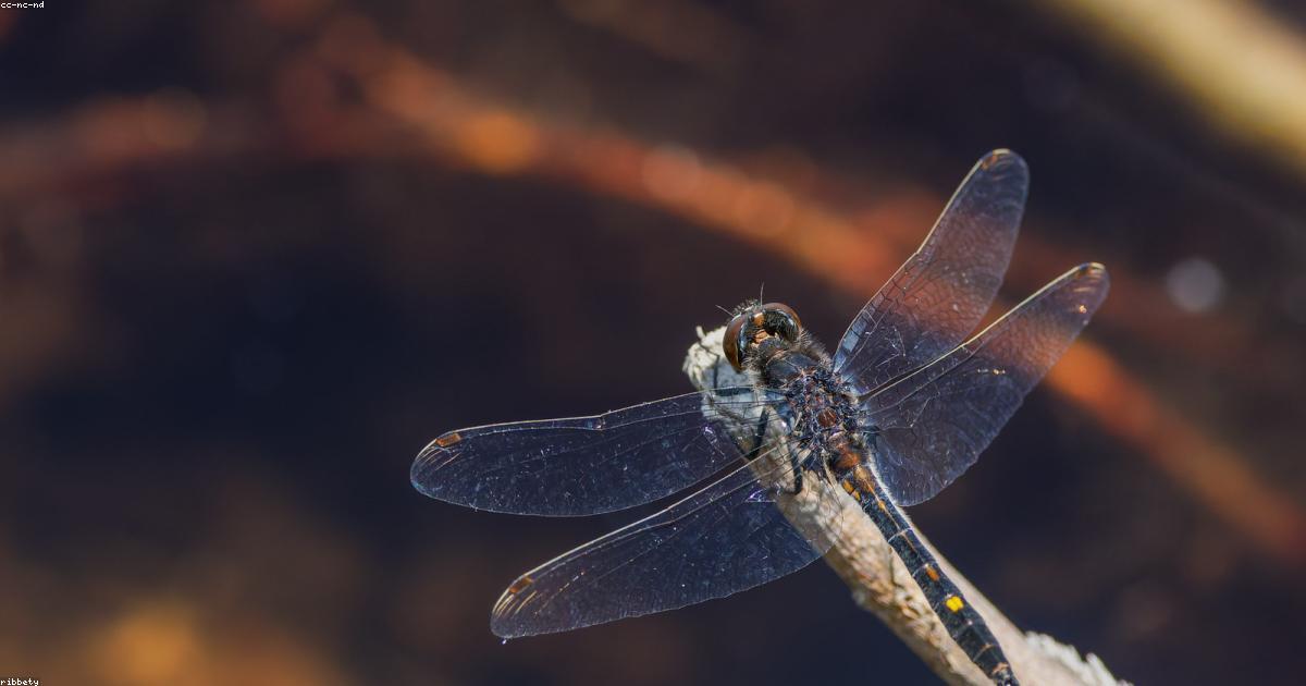 Arte-Criatividade-post-image-40