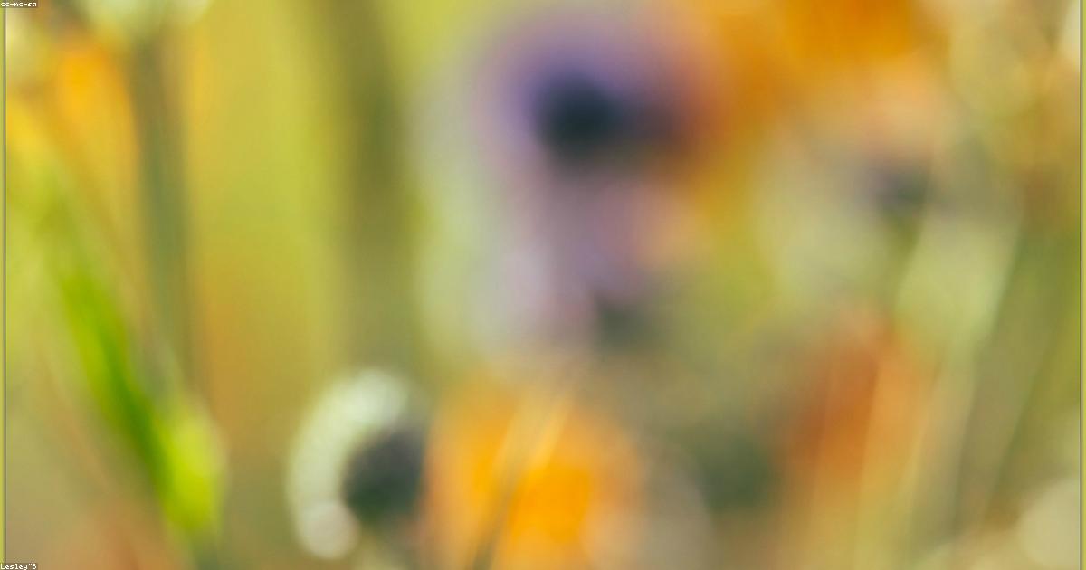 Arte-Criatividade-post-image-44